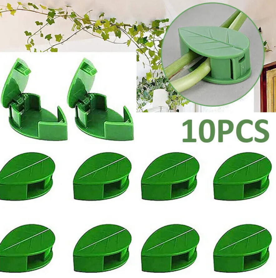 PLANT CLIMBING CLIPS