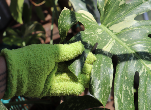 MICROFIBER GLOVE